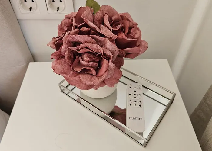 Elegante Apartamento En Playa De Gandia